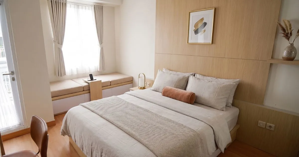 Pinus-2 BR D